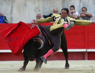 Torero